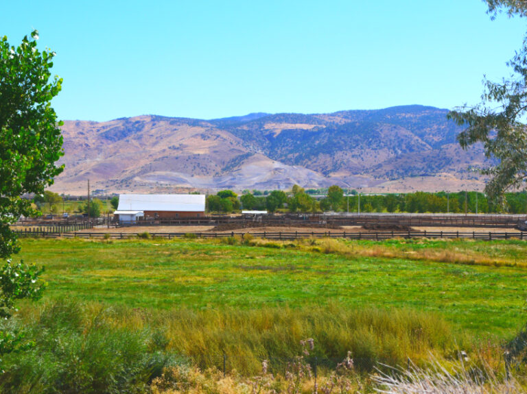damonte ranch nv