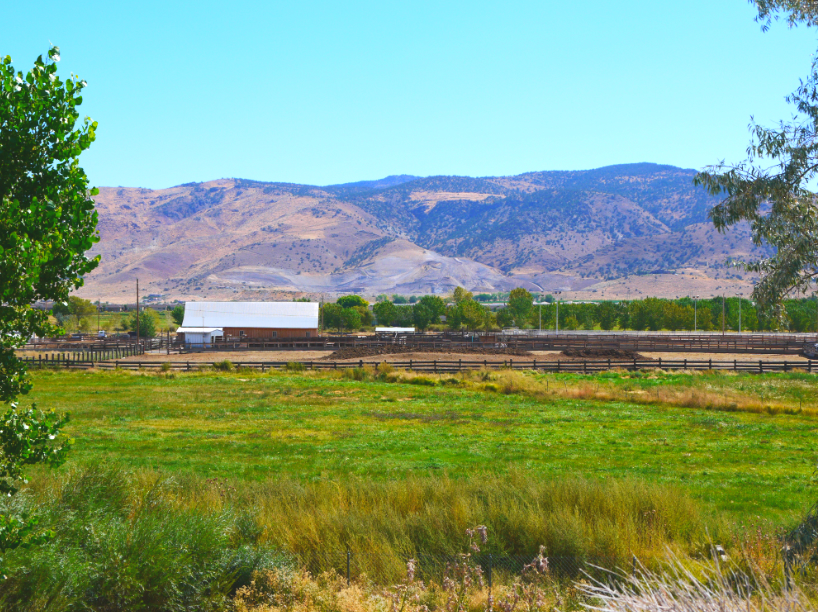 damonte ranch nv