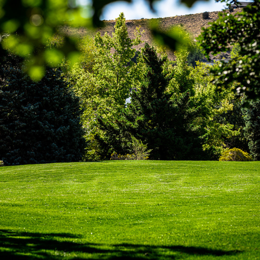 Lawn service Reno Nevada